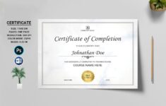 Certificate Template Printable Certificate Of Completion MS Etsy Australia