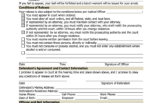 CR 765 Release Jail Form Fill Out Sign Online DocHub