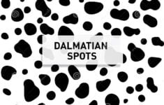 Dalmatian Spots Stock Illustrations 819 Dalmatian Spots Stock Illustrations Vectors Clipart Dreamstime