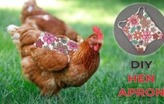 DIY Chicken Saddle FREE Hen Apron Pattern YouTube