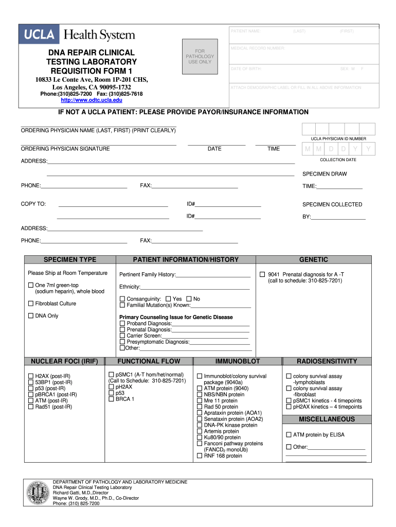 Printable Fake Paternity Test Results Template Free Printable