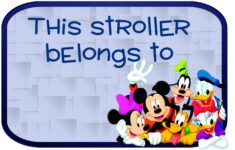 Donatalie s Image Disney Stroller Tags Disney Trip Surprise Disney Scrapbook
