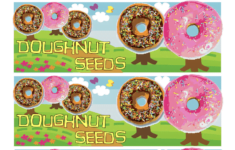 Donut Doughnut Seeds Labels For Easy Editing Place On A Baggie Full Of Cheerios Choose A V Doughnut Seeds Christmas Stocking Stuffers Donut Birthday Parties