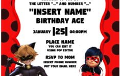 Free Editable PDF Miraculous Ladybug Cat Noir Strikeback Birthday Invitation Templates Download Hundreds FREE PRINTABLE Birthday Invitation Templates