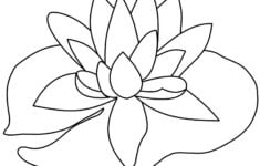 Free Lily Pad Template Download Free Clip Art Free Clip Art On Clipart Library Lily Pad Drawing Lilies Drawing Flower Coloring Pages