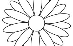 Free Printable Daisy Templates Daisy Shape Flower PDFs