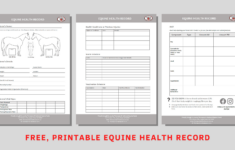 FREE PRINTABLE EQUINE HEALTH RECORD Thompson And Redwood