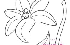 Free Printable Lily Craft Template Simple Mom Project