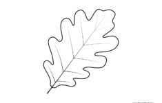 Free Printable Oak Leaf Template Leaf Coloring Page Fall Leaves Coloring Pages Leaf Template