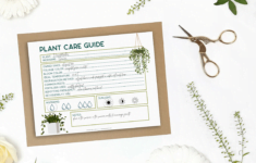 FREE PRINTABLE PLANT CARE GUIDE Crafts Mad In Crafts