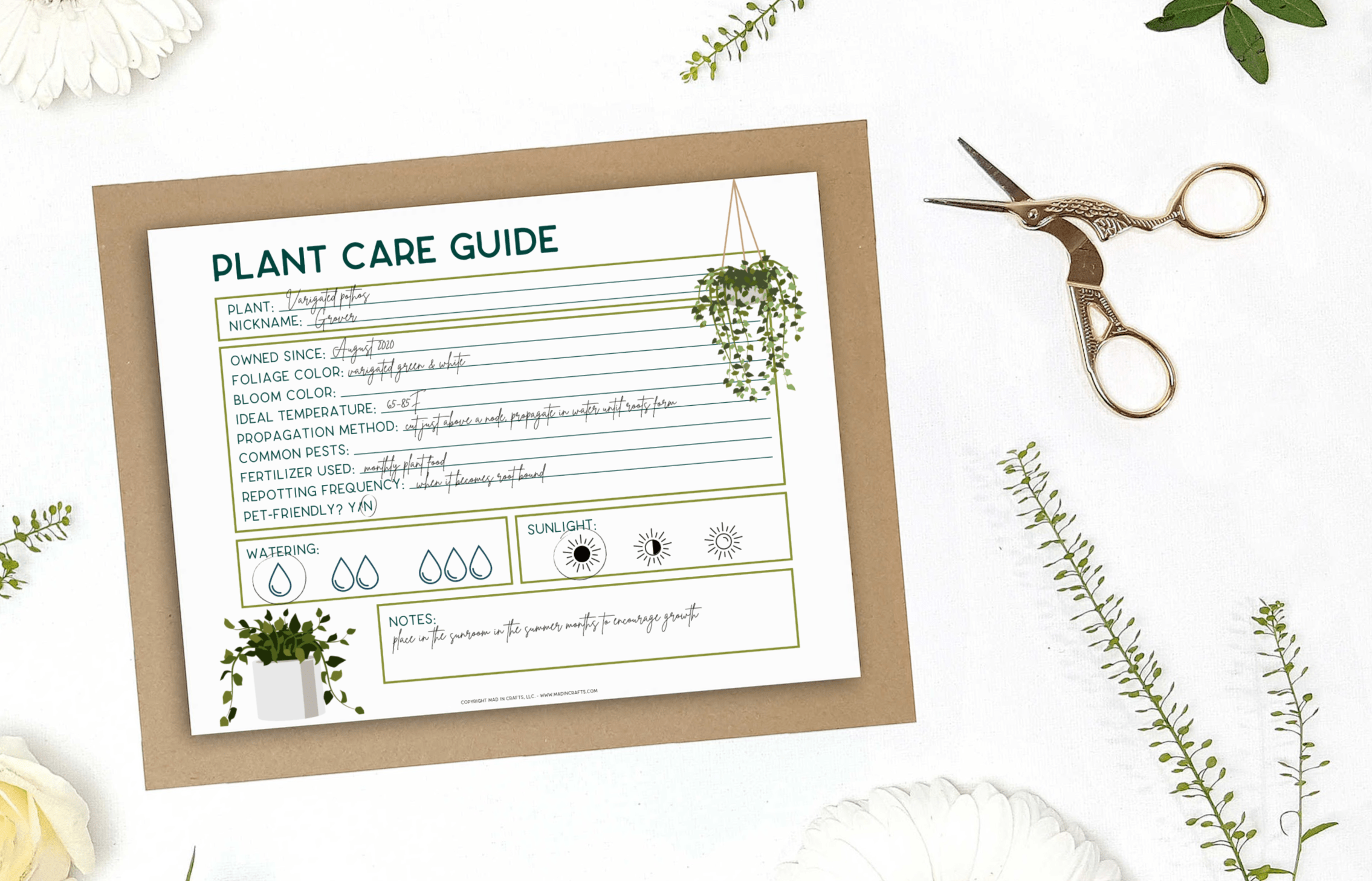 printable-plant-care-template-free-printable