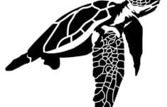 Free Printable Sea Turtle Stencils And Templates