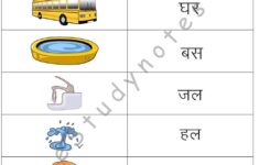 Grade 1 Hindi Worksheets Colour Prints 239 Worksheets EStudyNotes