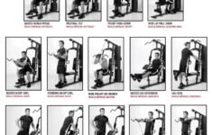 Hg3000 Exercise Chart By Fitnessdigital Issuu