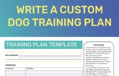 How To Make A Custom Training Plan Hazeldog