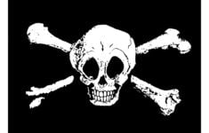 Jolly Roger Pirate Flag Printable For A Pirate Birthday Party