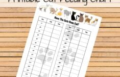 Monthly Printable Cat Feeding Chart Cat Food Schedule Pet Etsy de