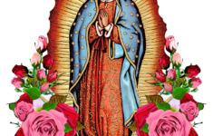 Our Lady Of Guadalupe With Roses Framed Art Print By Modernmaya Scoop Black MEDIUM Gallery 22x22 Virgin Mary Art Guadalupe Mexican Art