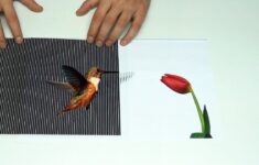 Paper Drawings Come To Life In These Amazing Illusions That Make You Go Wow