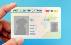 Pet ID Cards Service Dog ID Cards Dog ID Cards Dog Tag Art