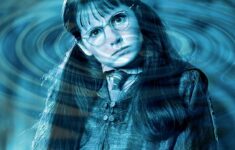 Pin By Janine Barker On Family Reunion Moaning Myrtle Harry Potter Ornaments Harry Potter Printables Free