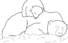 Polar Bear Cub Sleeping On Mother s Back Coloring Page Free Printable Coloring Pages