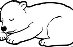 Print Hibernate Baby Bear Coloring Pages Bear Coloring Pages Coloring Pages Baby Bear