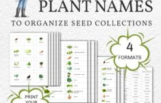 Printable Plant Name Label Files For Organizing Seeds More