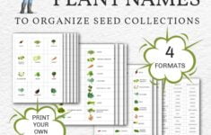 Printable Plant Name Label Files For Organizing Seeds More