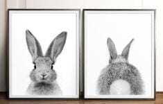 Rabbit Print Bunny Bum Rabbit Tail Black And White Etsy Schweiz