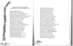 Sarah Cynthia Sylvia Stout Kids Poem By Shel Silverstein Read Aloud YouTube