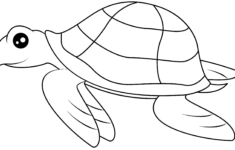 Sea Turtle Printable Template Free Printable Papercraft Templates