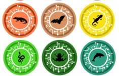 Set Of 48 Creature Power Discs Inspired Etsy de