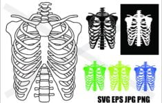 Skeleton Ribcage SVG EPS JPG PNG