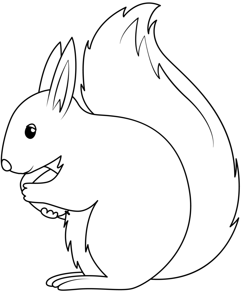 Squirrel Printable Template Free Printable Papercraft Templates Squirrel Printable Template Free Printable Papercraft Templates