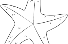 Starfish Printable Template Free Printable Papercraft Templates