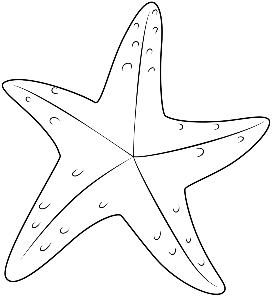 Starfish Template Free Printable Free Printable