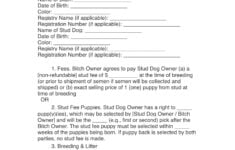 Stud Dog Owner Breeding Contract Etsy de