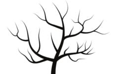 Tree Template Without Leaves OriginalMOM
