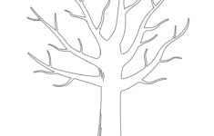 Tree Templates Tree Printables