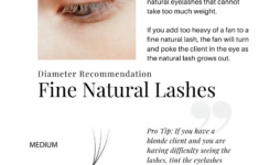 Volume Lash Training Manual Your Beauty Brand