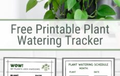 3 Free Printable Plant Watering Trackers Houseplant Watering Schedule