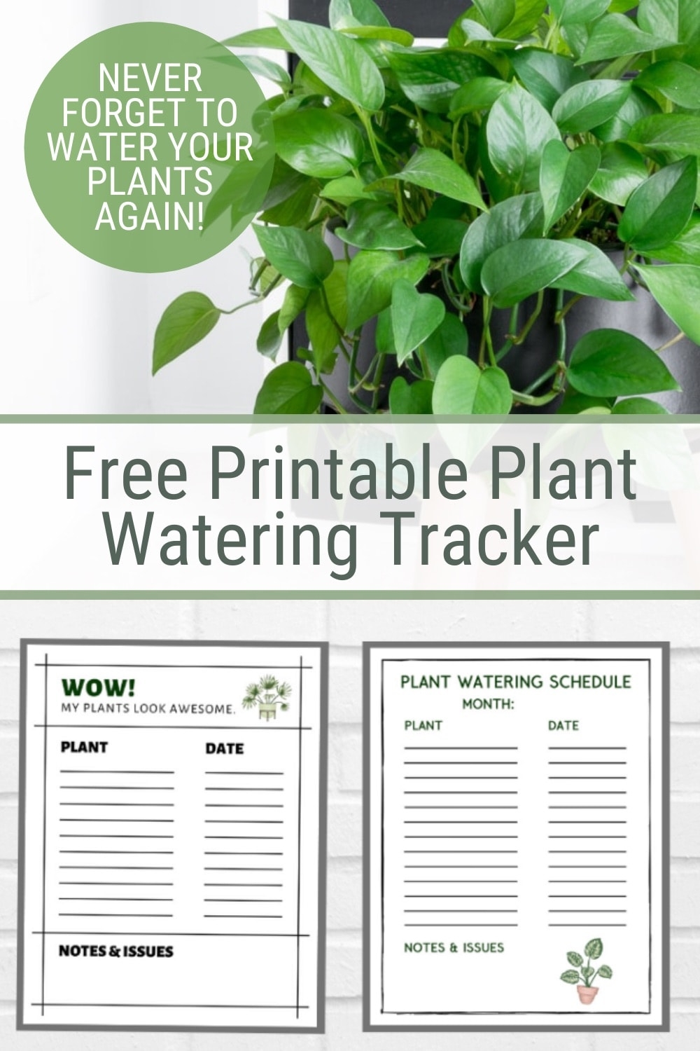  Printable Plant Watering Schedule Template Free Printable