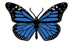 Blue Butterfly Image Tim s Printables