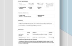 Dental Treatment Plan Template Google Docs Word Apple Pages Template