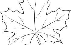 Maple Leaf Printable Template Free Printable Papercraft Templates