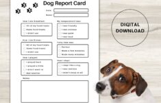 Pet Report Card Printable For Pet Sitter Business Dog Report Etsy Australia
