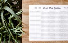 Plant Watering Schedule Free Printable The Anastasia Co