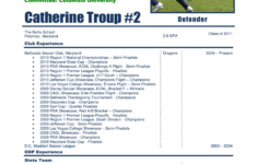 Player Profile Template Fill Online Printable Fillable Blank PdfFiller
